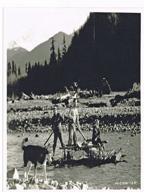 Call of the Wild (Collection of 4 vintage stills from the 1935 film)