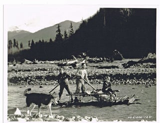 Call of the Wild (Collection of 4 vintage stills from the 1935 film)
