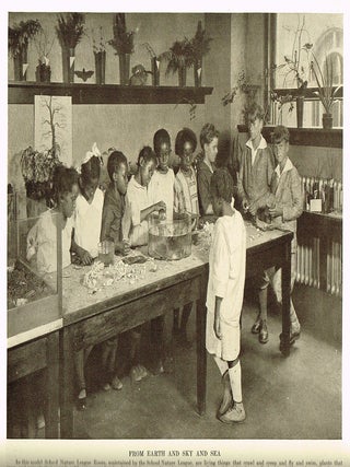 Item #2812 Natural History : Journal of The American Museum of Natural History * Education Number...