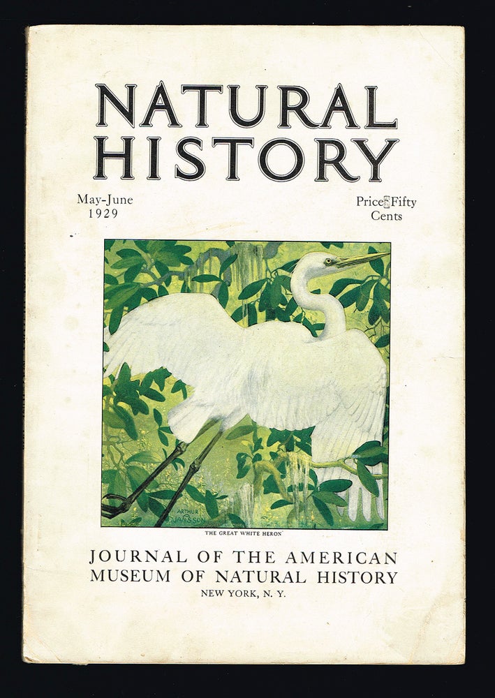 Item #2871 Natural History : The Journal of The American Museum of Natural History. Volume XXIX No. 3. May-June 1929. Hawthorne Daniel, Alfred M. Bailey.
