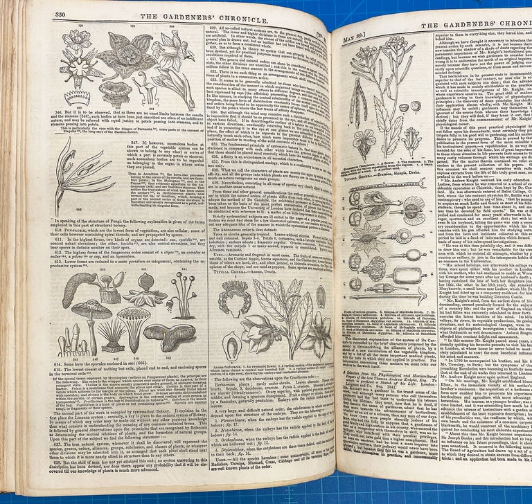 Item #3350 [Botany, Fox Talbot Calotype, Shakespeare Society] The Gardeners' Chronicle : A Stamped Newspaper of Rural Economy and General News. Nos. 1-26 January 2, 1841 - June 26, 1841. John Lindley.