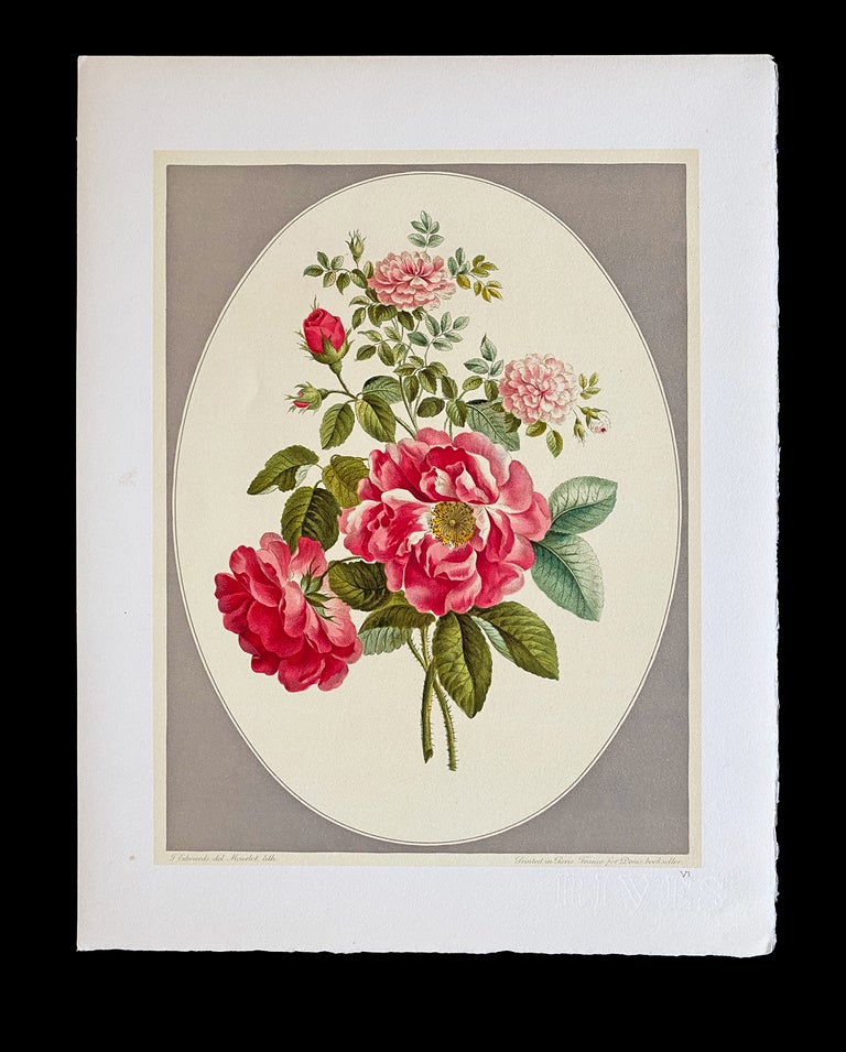 Item #3429 [Flower Prints] Collection De Douze Bouquets par John Edwards Peints de 1783 A 1795. John Edwards, Gerard D'Houville.