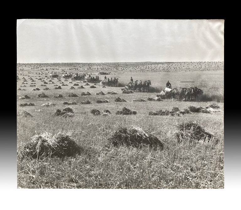 Item #3454 Mammoth Size Photo of Eight Horse-Drawn Threshing Machines Harvesting a Prairie Field. Associated Screen News Ltd, Unknown Photographer.