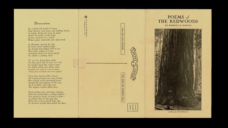 Item #3533 [California Conservation Postcard] Poems of the Redwoods. Mabelle B. Remore.