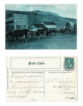 Item #3663 [Gold Rush] Last Bull Team on Cariboo Road, Ashcroft, B. C. Unknown Photographer?, W....
