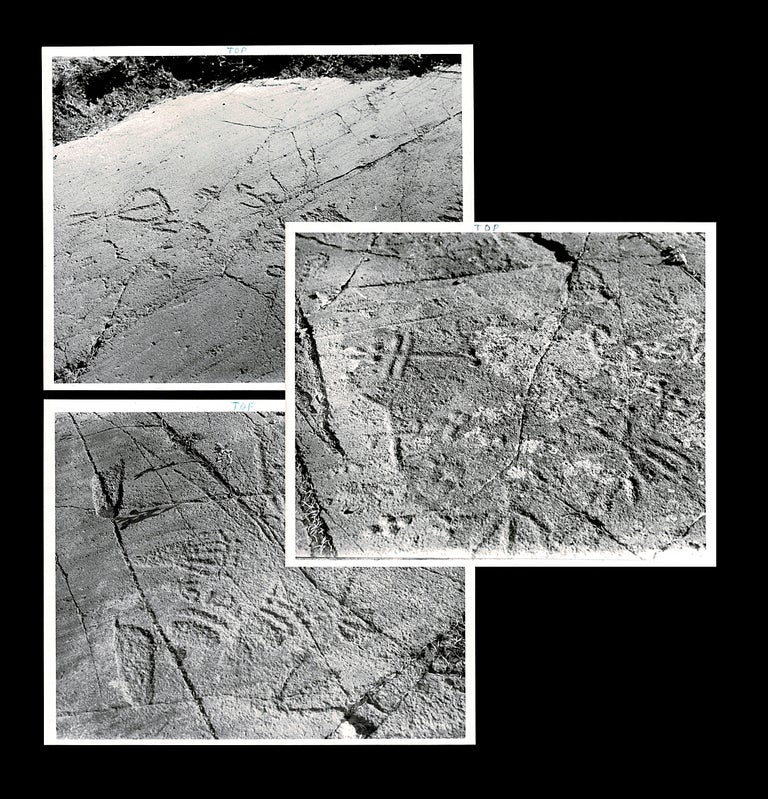 Item #3993 [East Kootenay] Three 8 x 10 Photographs of Petroglyphs Near Cranbrook, B.C. Dave Kay, Photographer.