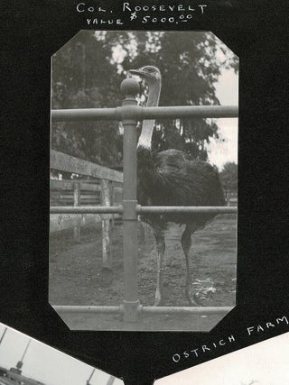 Item #4251 1915 Photos of California Missions, Hotel del Coronado & Col. Roosevelt the $5,000...