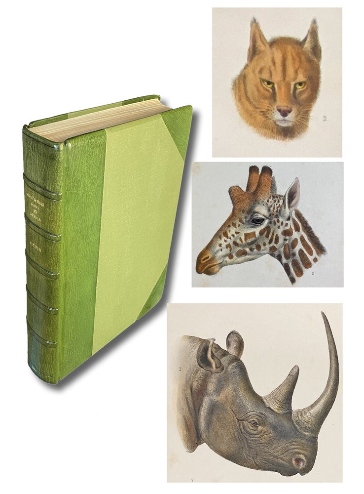 Item #4352 Great and Small Game of Africa : An Account of the Distribution, Habits, and Natural History of the Sporting Mammals, with Personal Hunting Experiences. H. A. BRYDEN, General.