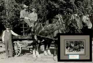 Item #4594 [Kamloops] 1913 Photograph of Pioneer Transfer Wagon & Two-Horse Team. John SCALES